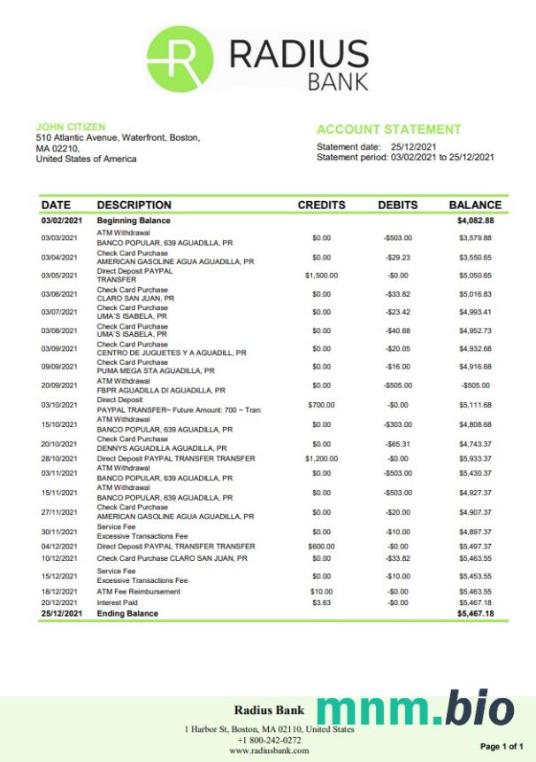 USA Massachusetts Radius Bank szablon w formacie excel pdf